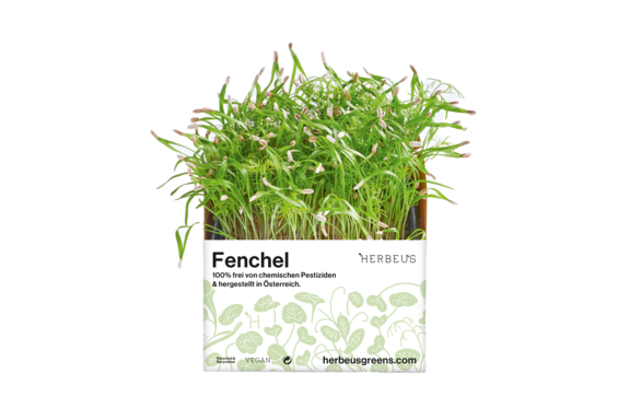 Herbeus Micro Greens Fennel