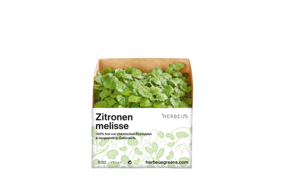 Herbeus Micro Greens Lemon Balm