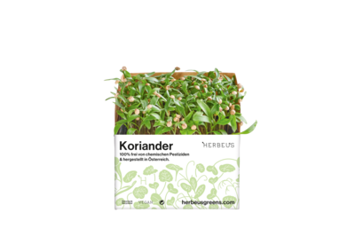 Herbeus Micro Greens Coriander