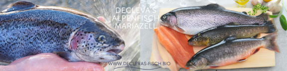 decleva’s alpenfisch GmbH