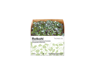 Herbeus Micro Greens Red Cabbage