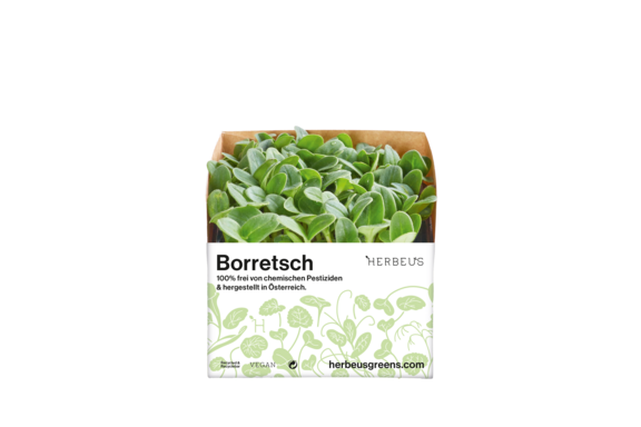 Herbeus Micro Greens Borage