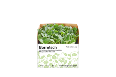 Herbeus Micro Greens Borage