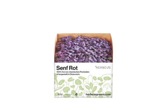 Herbeus Micro Greens Mustard Red