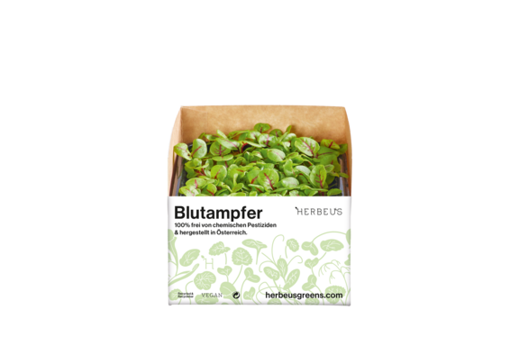 Herbeus Micro Greens Sorrel