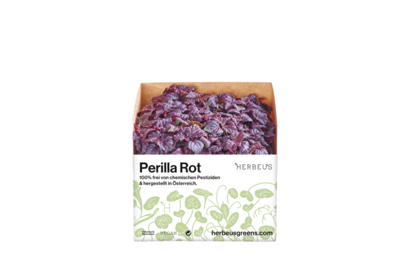 Herbeus Micro Greens Perilla Red