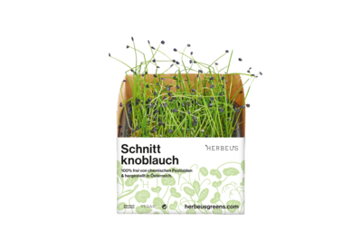 Herbeus Micro Greens Chives