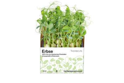 Herbeus Micro Greens Pea