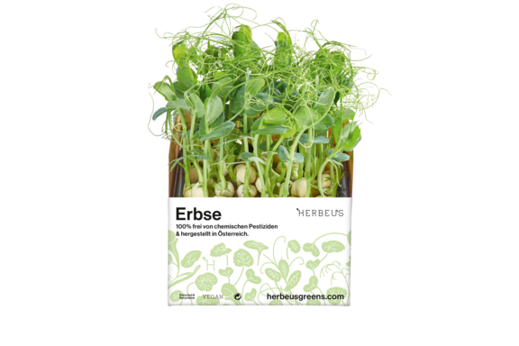 Herbeus Micro Greens Pea