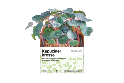 Herbeus Micro Greens Nasturtium