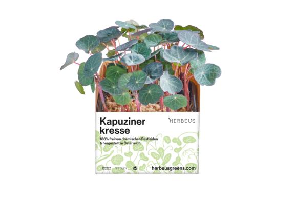 Herbeus Micro Greens Nasturtium