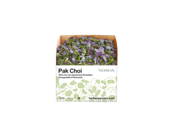 Herbeus Micro Greens Pak Choi