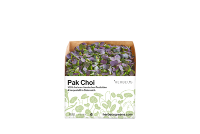 Herbeus Micro Greens Pak Choi