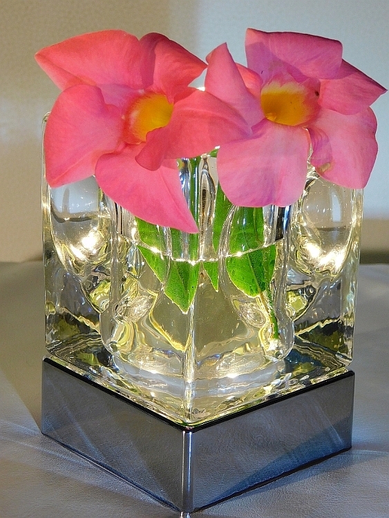 Kristall Star Vase